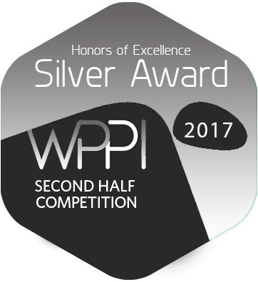 2017SH-SilverAward